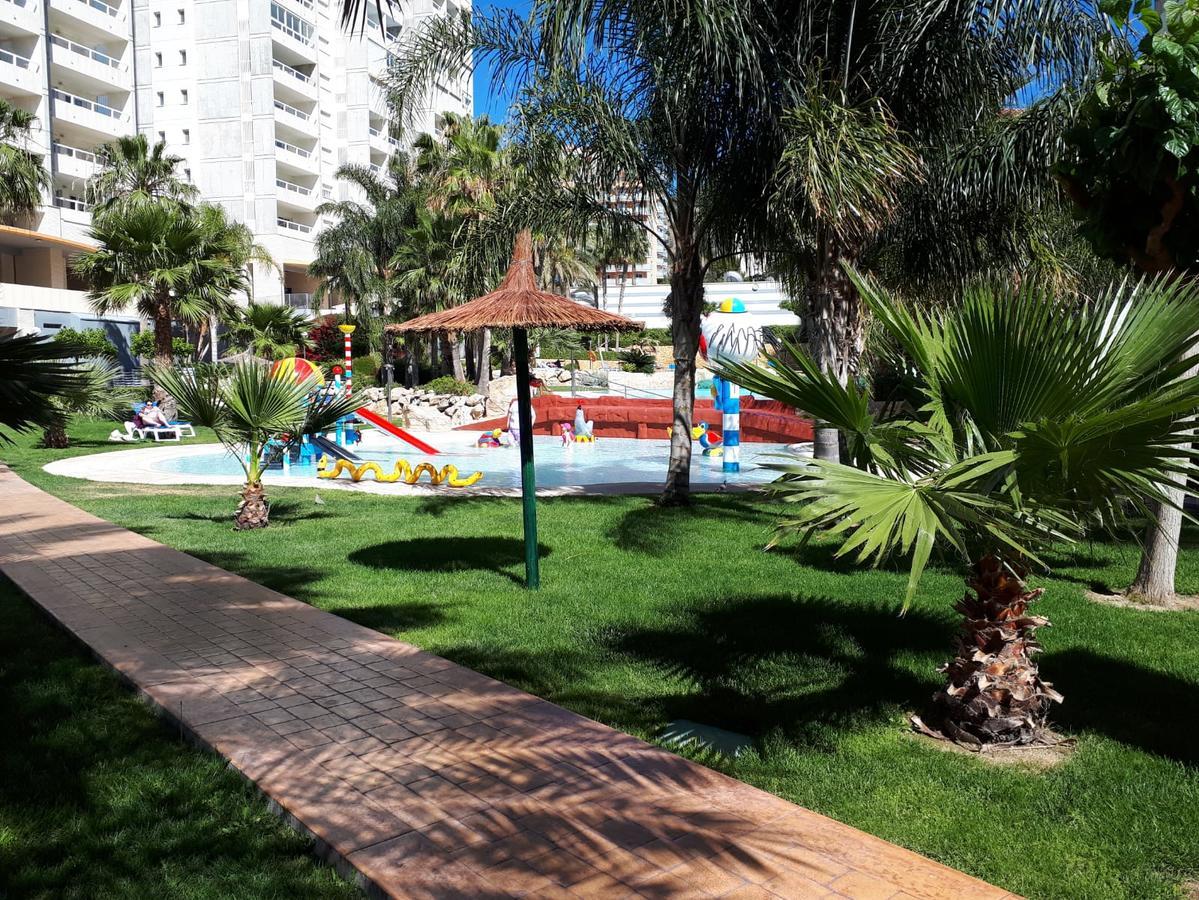 Apartment Aparment