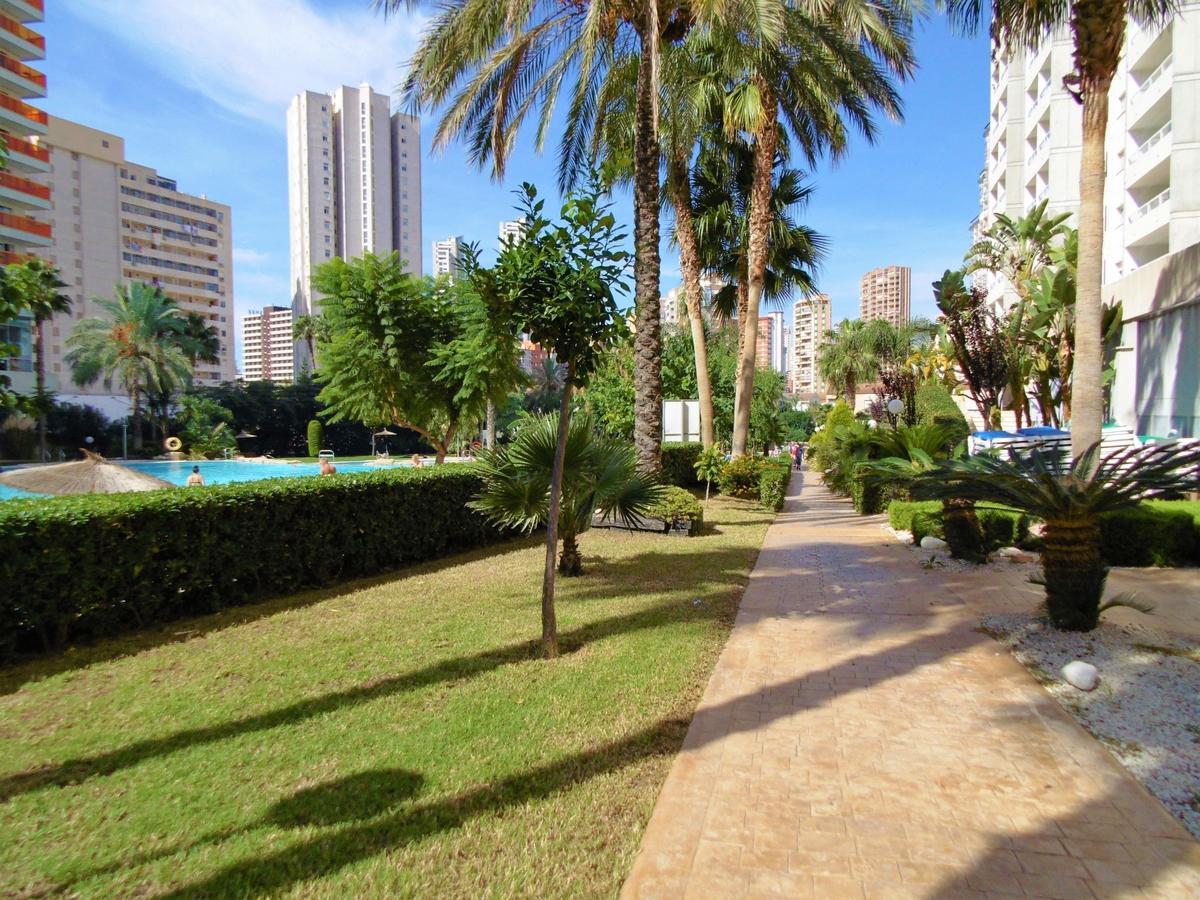 Gemelos 22-3-1c Benidorm