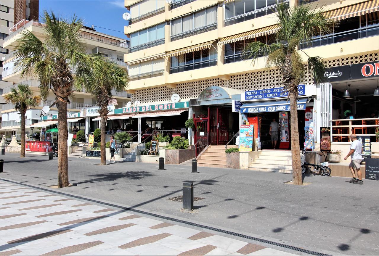 Carolina 8 D Benidorm