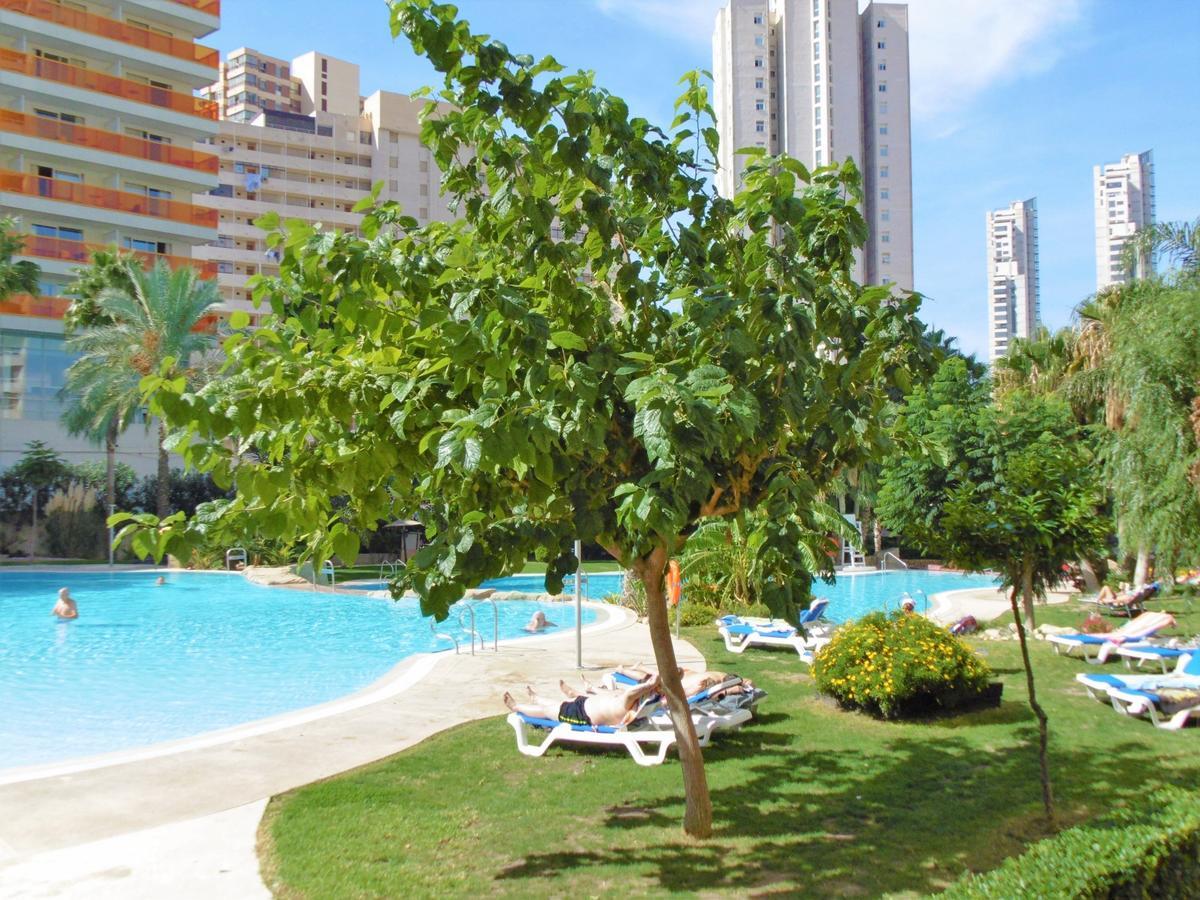Gemelos 22-3-1c * Benidorm