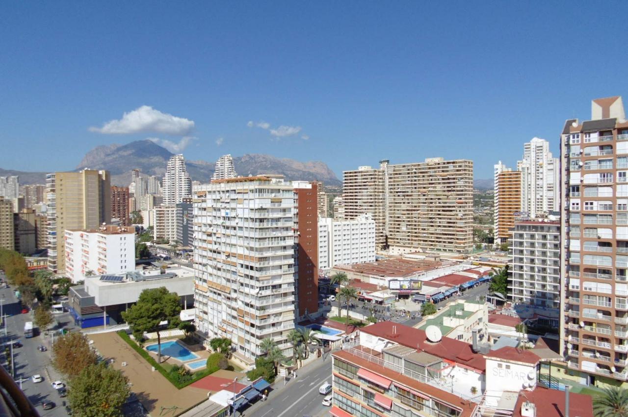 Apartment Albatros 13-1