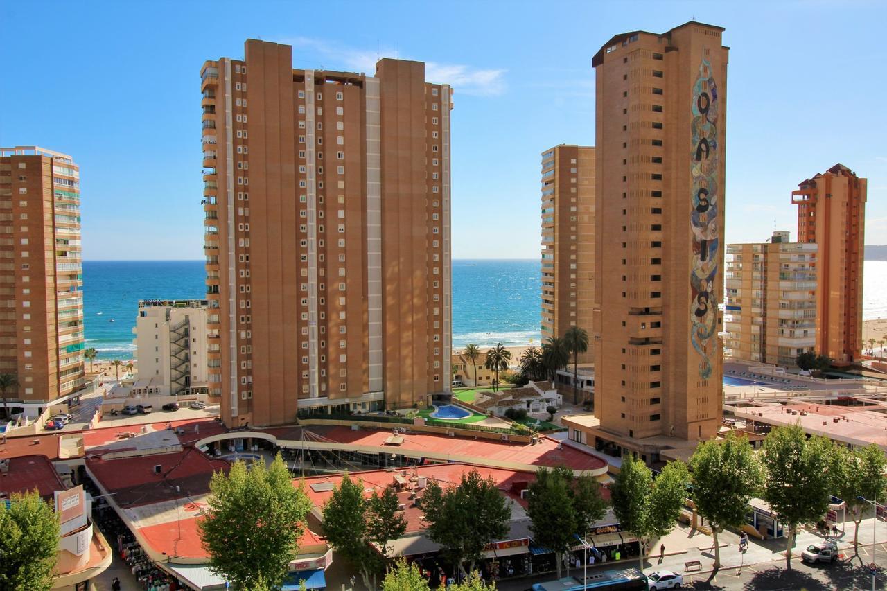 Apartment Albatros 13-1