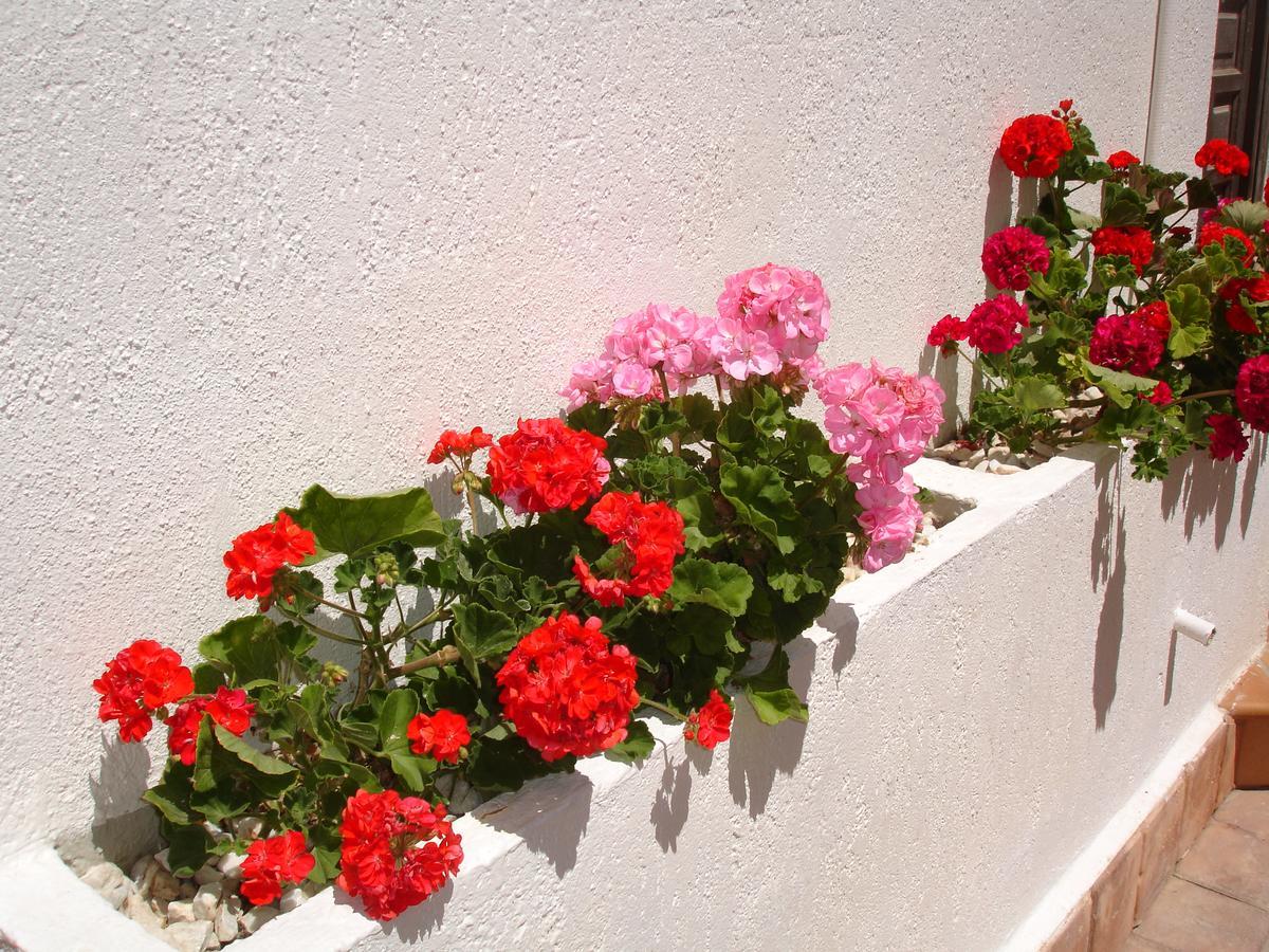 Terraced House - Appartement *