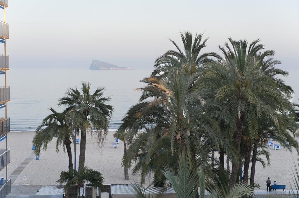 El Palmeral