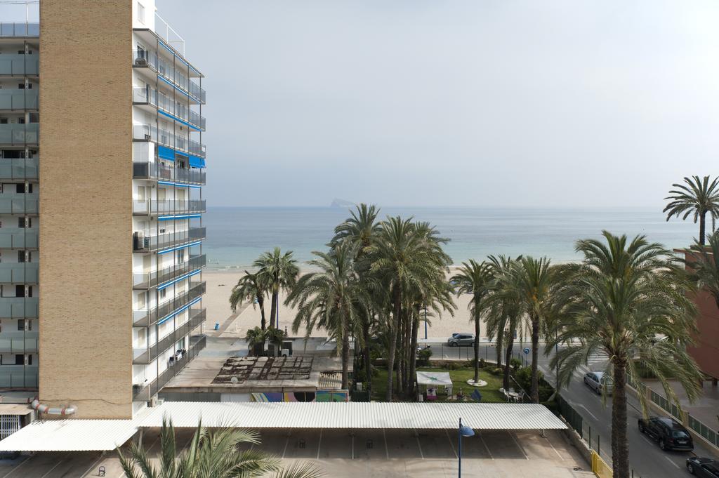 El Palmeral