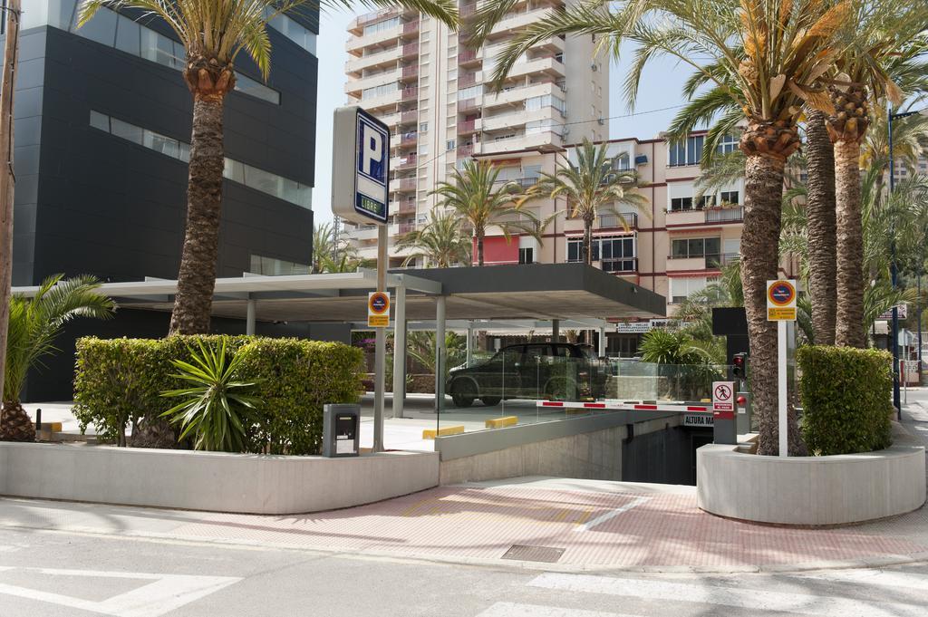 El Palmeral