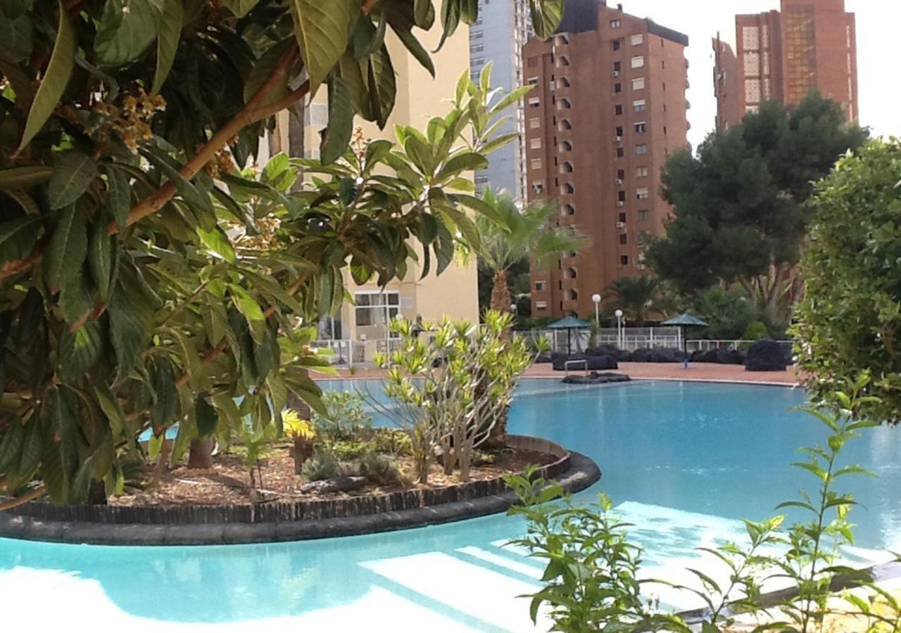 Emperatriz * Benidorm