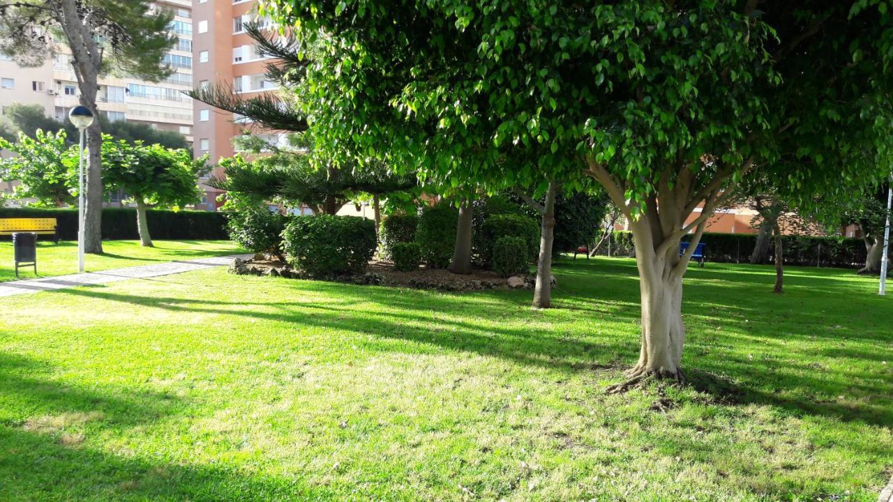 Apartamento Edificio Provima Apartamento