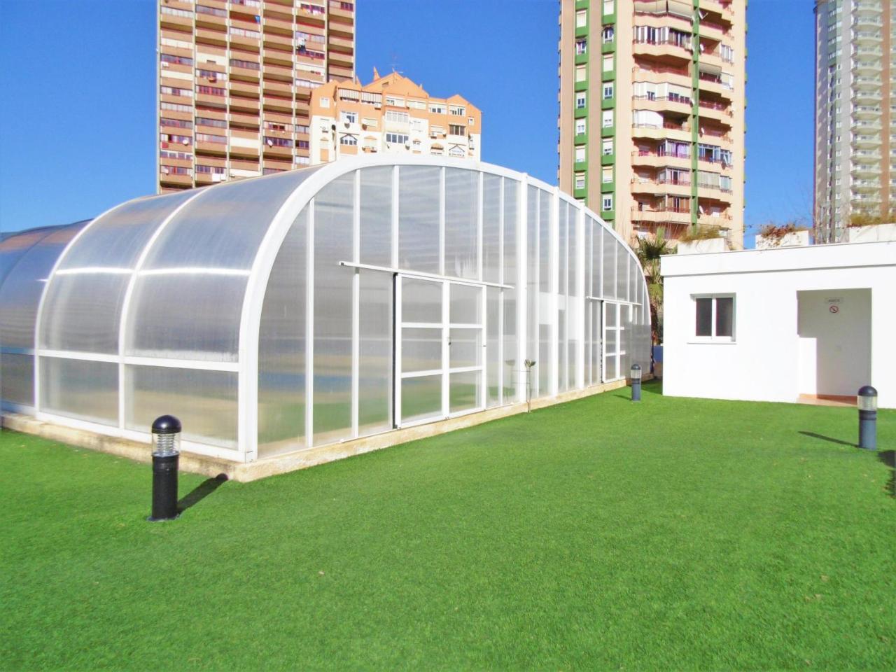 Gemelos 26 9-c Levante *