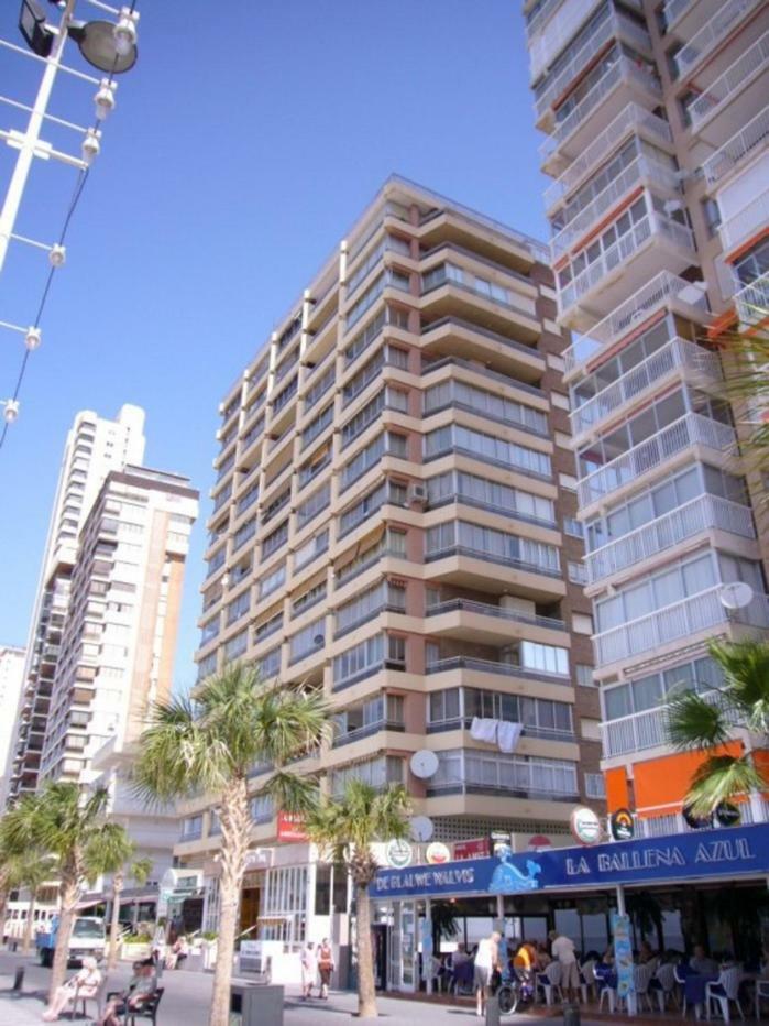 Carolina - Arena *