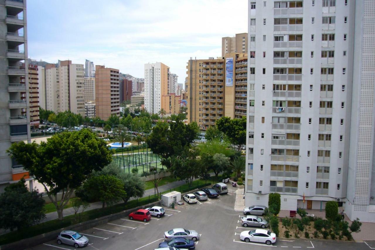 Paraiso Esperanto - Arena