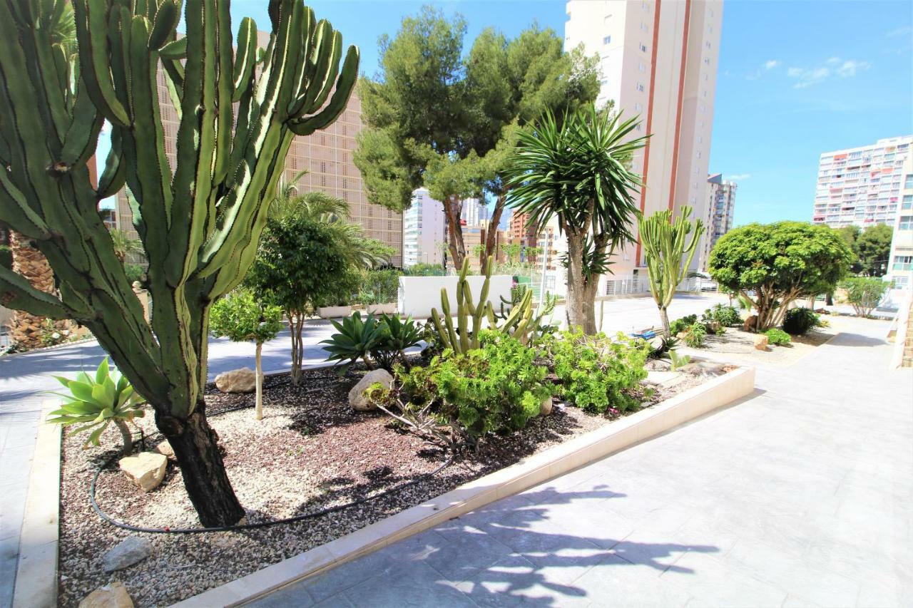 Atico Levante Torre Montecarlo Appartement *
