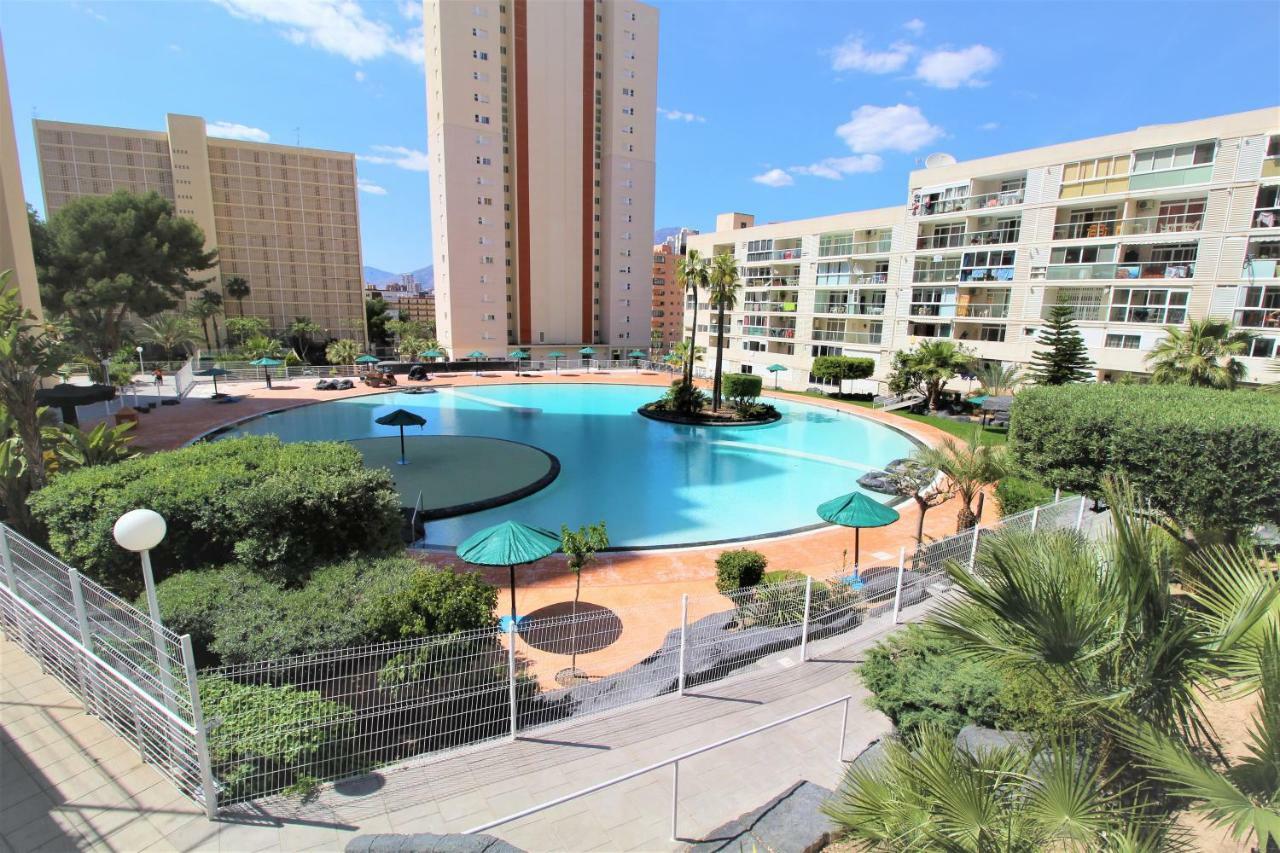 Atico Levante Torre Montecarlo * Benidorm