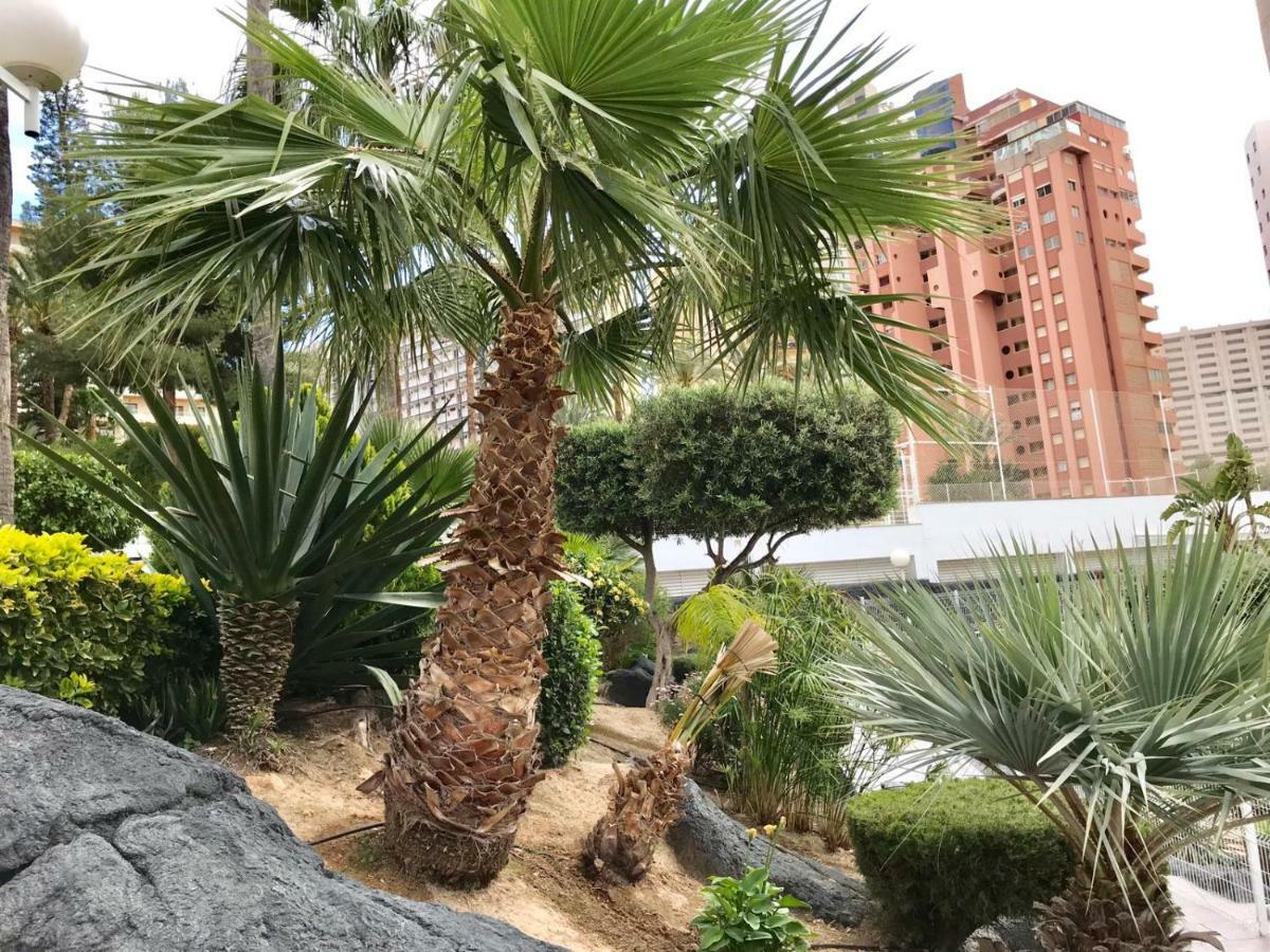 Apartamento Levante Beach Calle Londres Benidorm