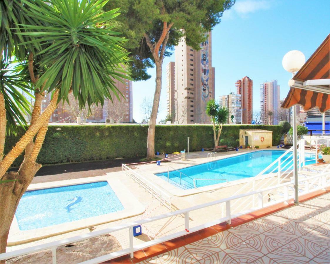 Albatros 17-5 Apartment