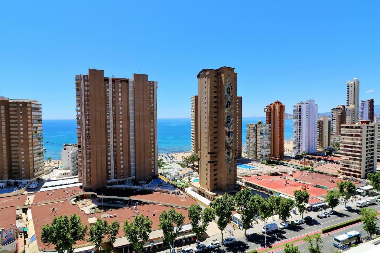 Albatros 17-5 Apartment