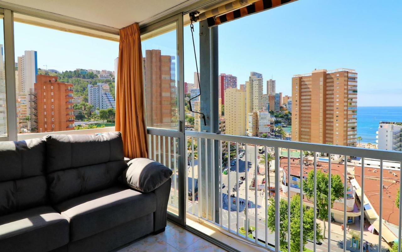 Apartment Albatros 13-1