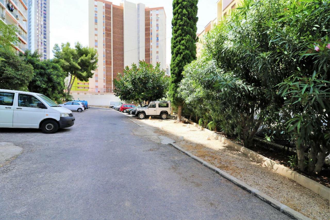 Loixana 11-7 Levante Area *