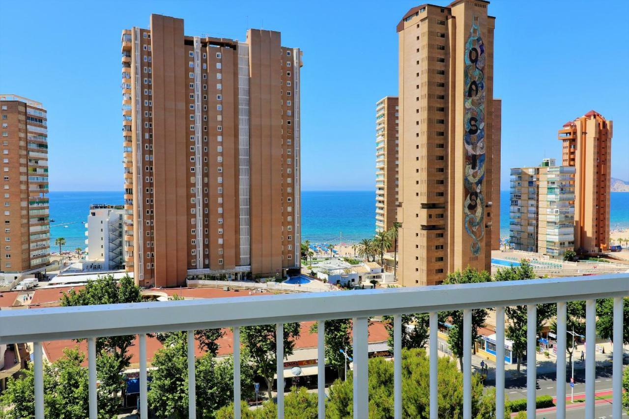 Apartment Albatros 11-5