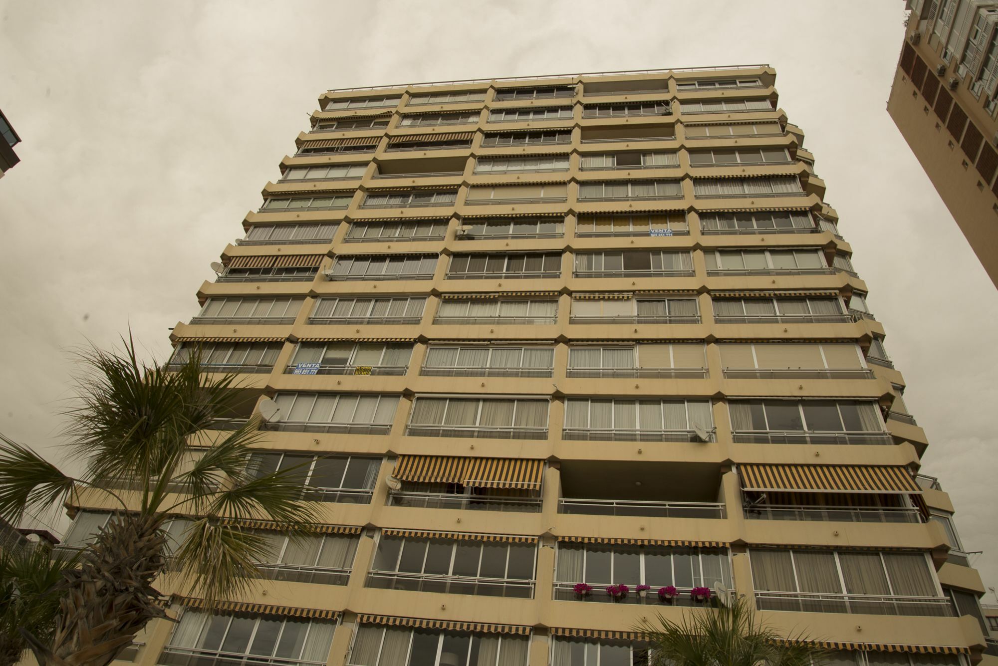 Apartamento Don Vicente Alquilevante
