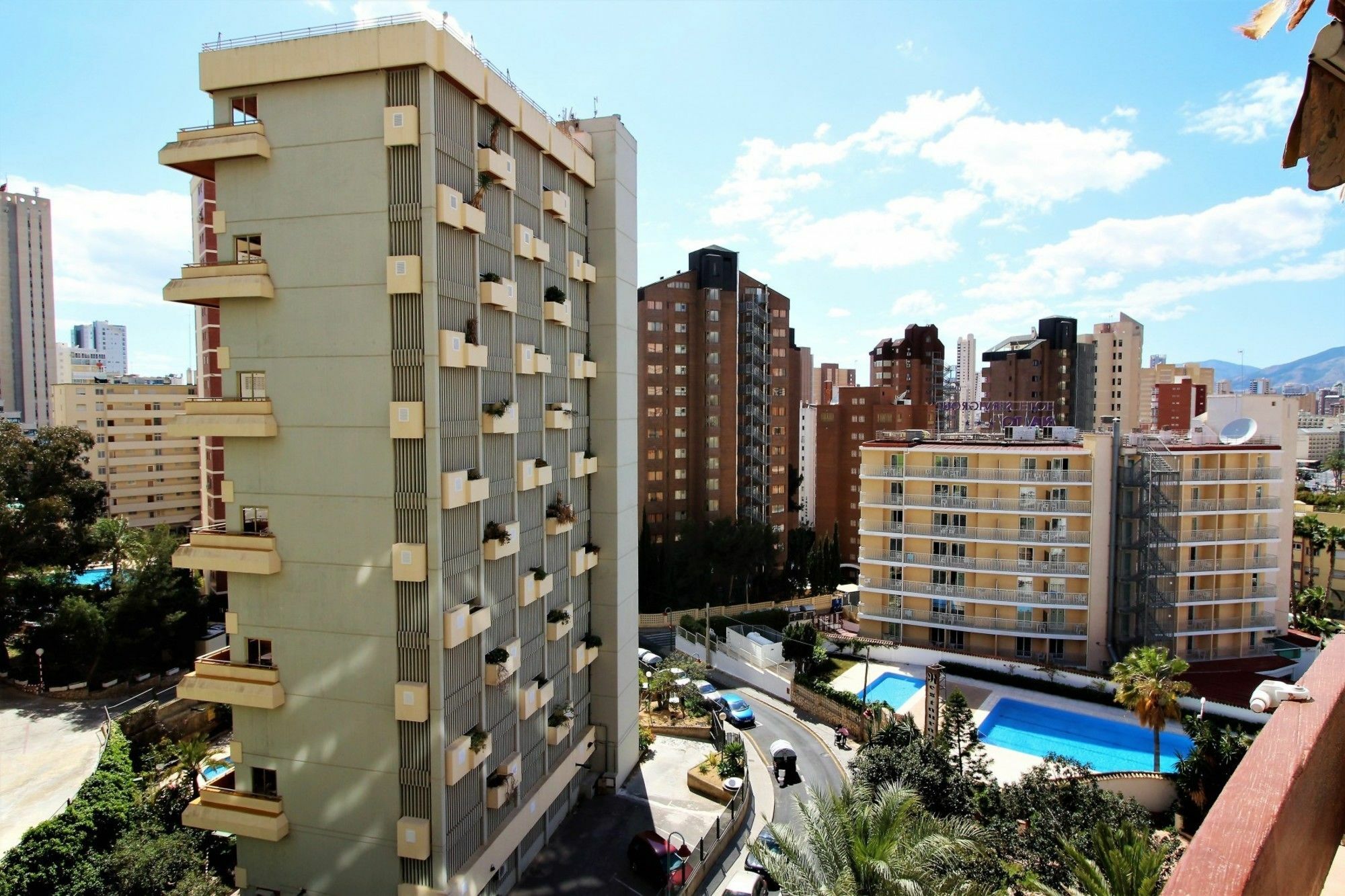Girasol 54 *