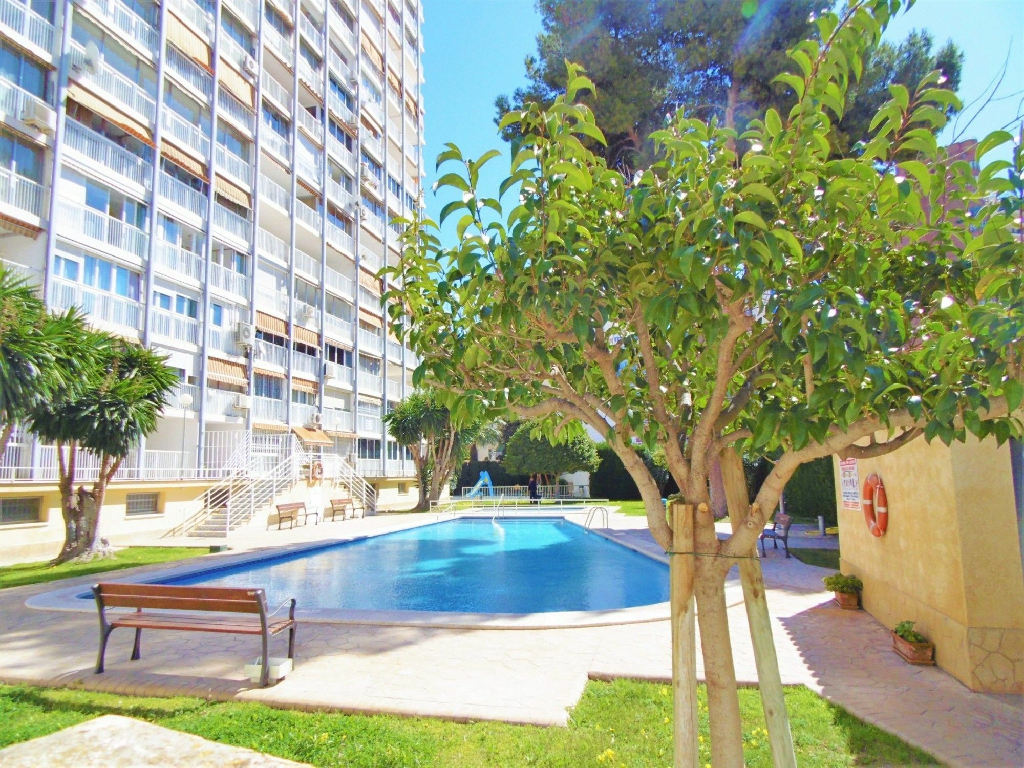 Albatros 11-5 Apartment *
