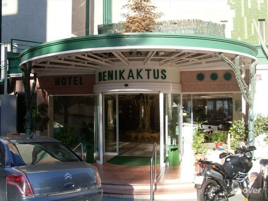 Benikaktus