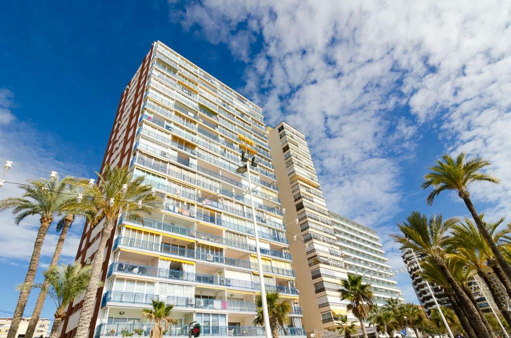 Las Palmeras 12d Benidorm