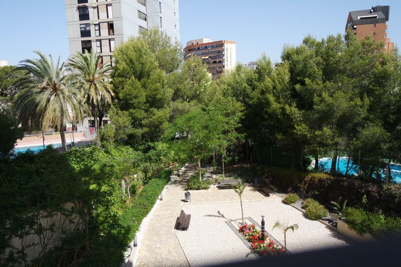 Mirador Luxury Apart *