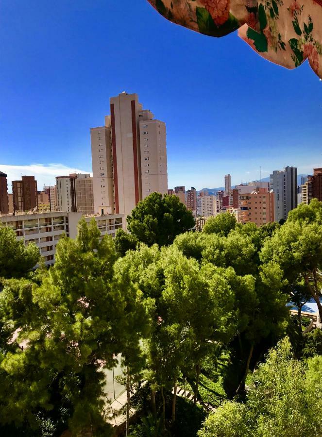 Gran Park *