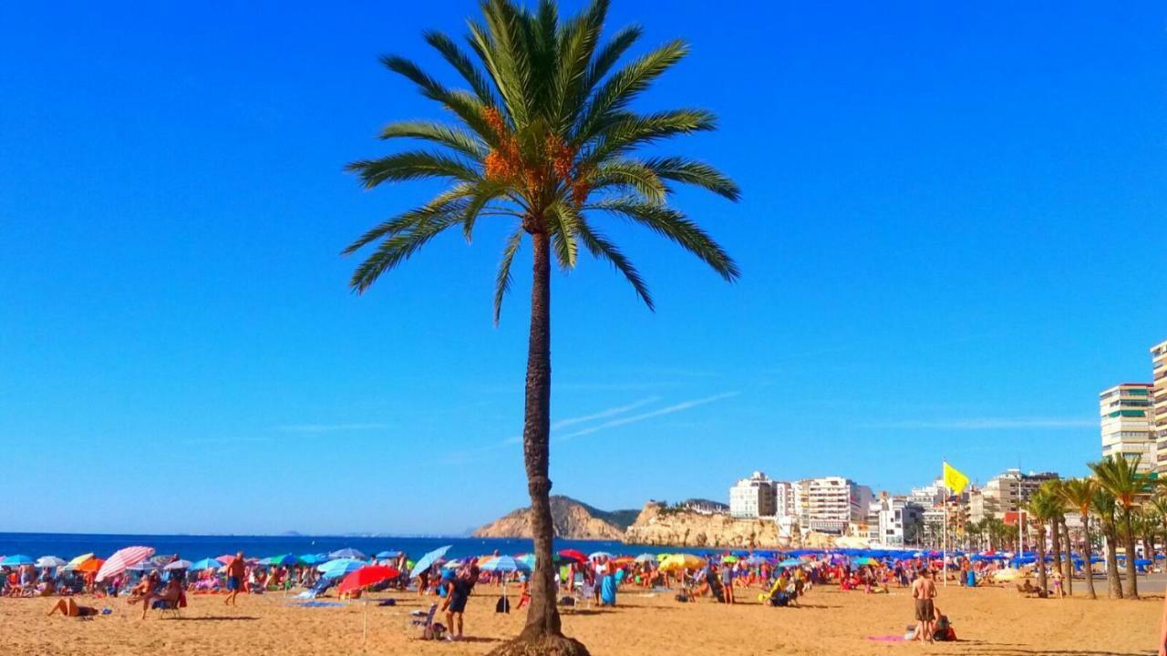 Apartment First Line Benidorm