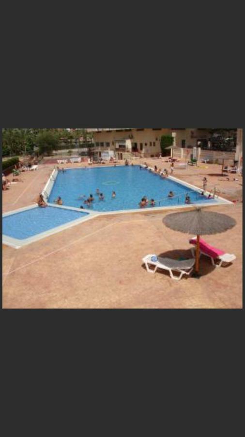 Aquarium I Apartamento Apartment Benidorm
