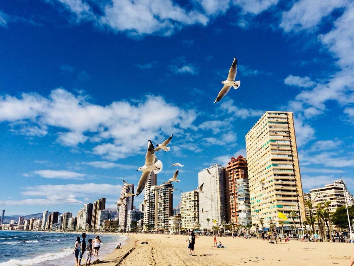 Levante Penthouse *