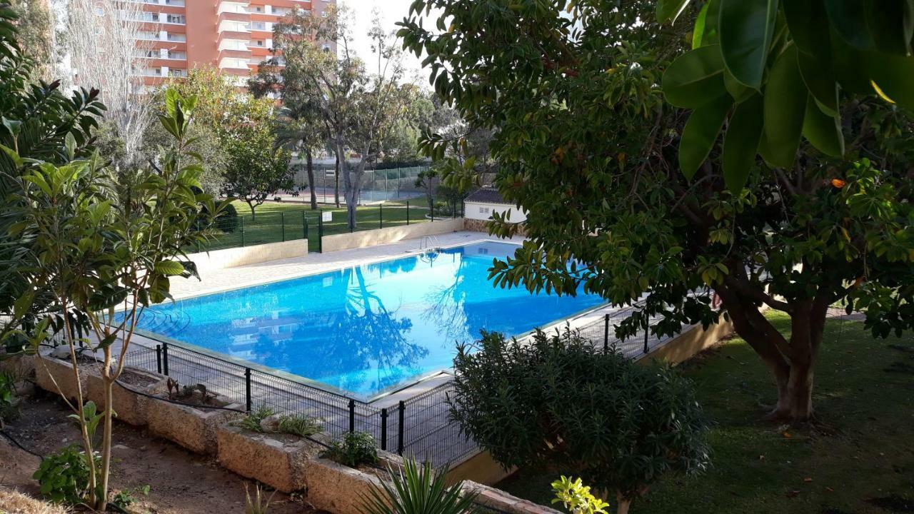 Apartment Torre San Sebastian