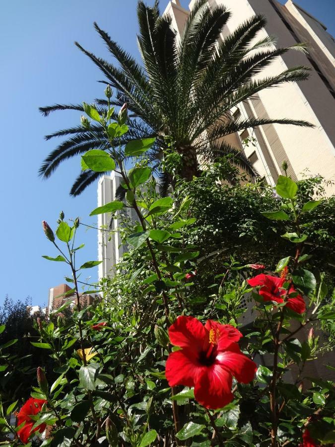 View - Welcome Penthouse Karola Apartamento *