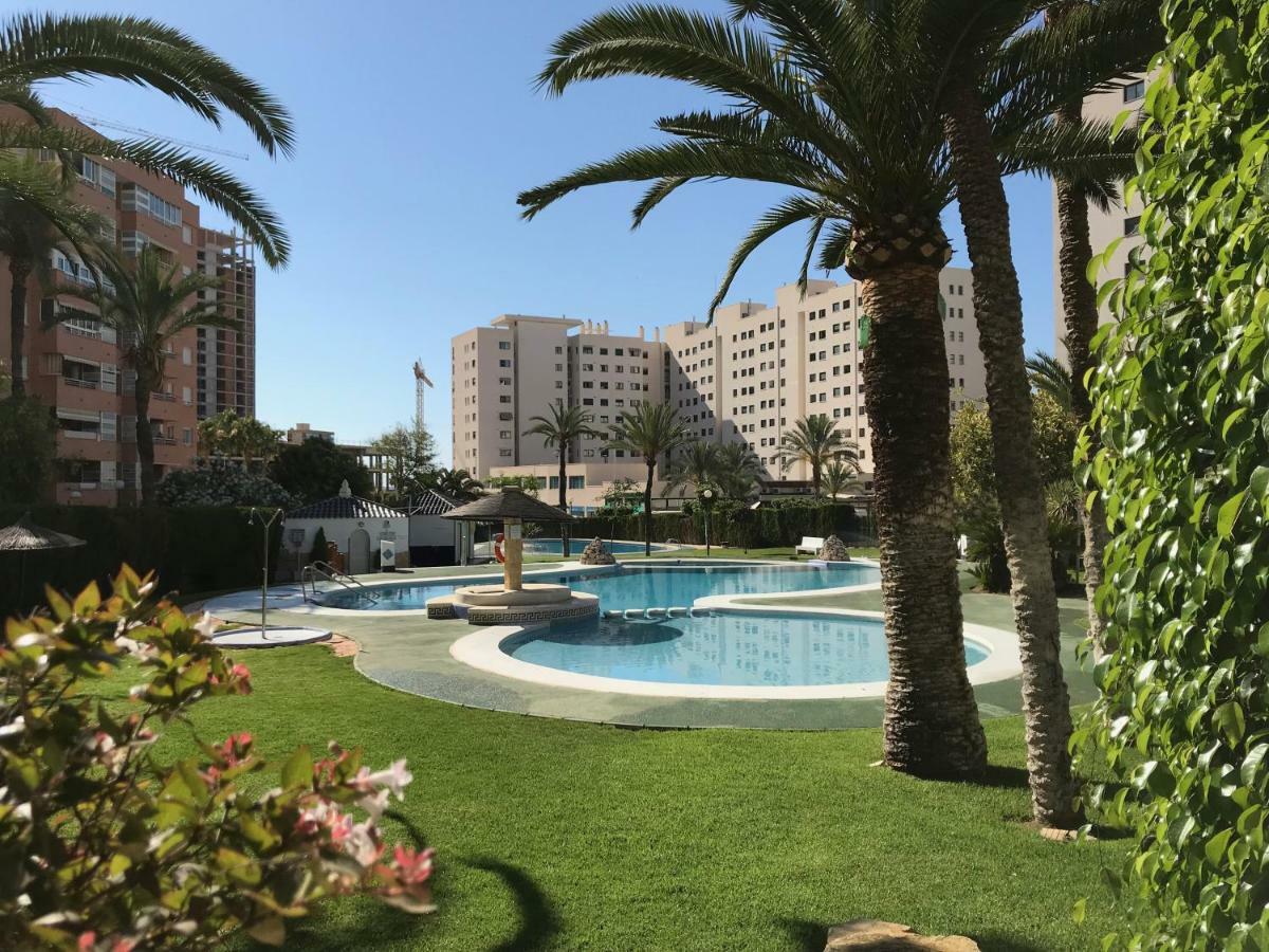 Apartment Casablanca *