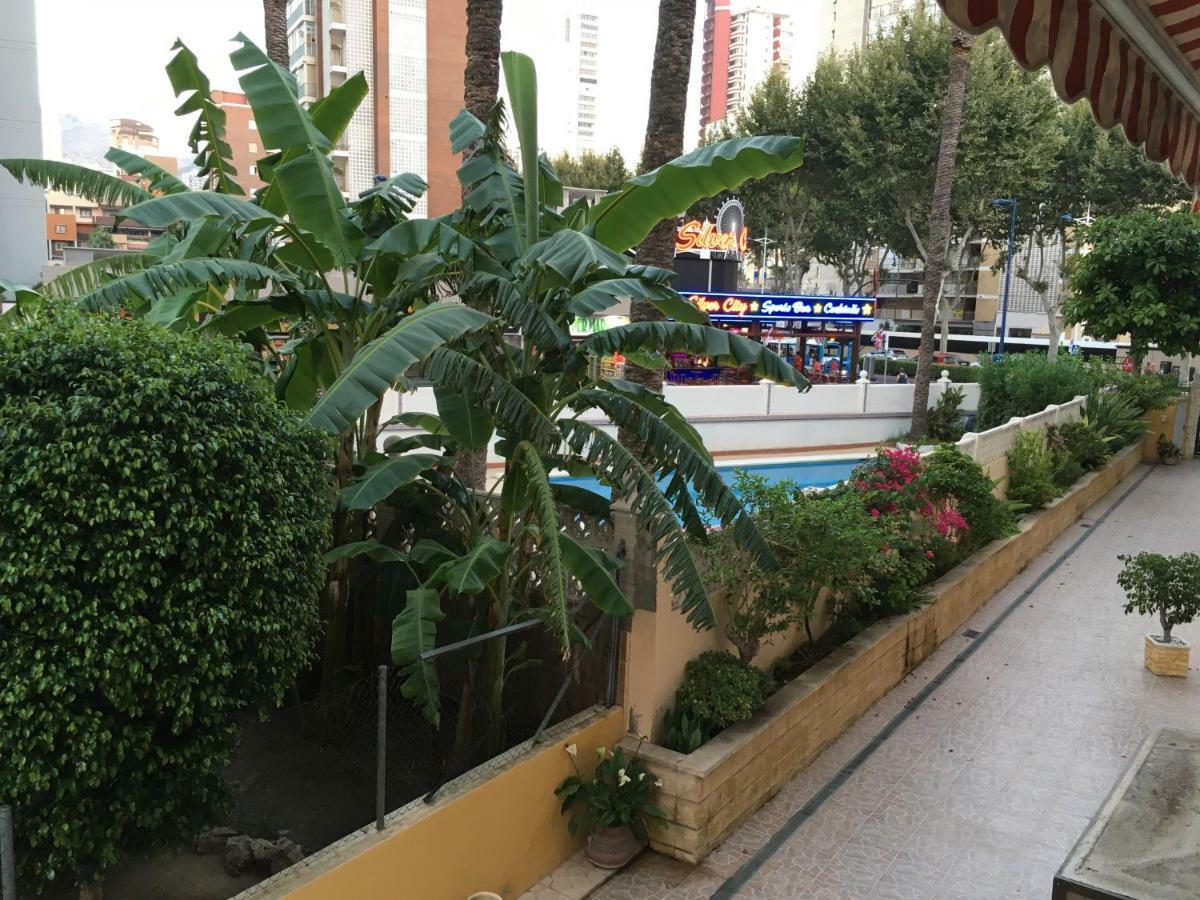 Apartment Arena Y Sol *