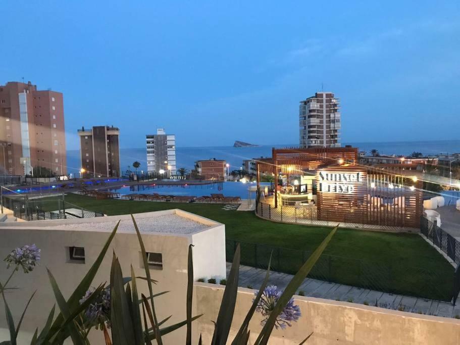 Apartment Luxury Residential