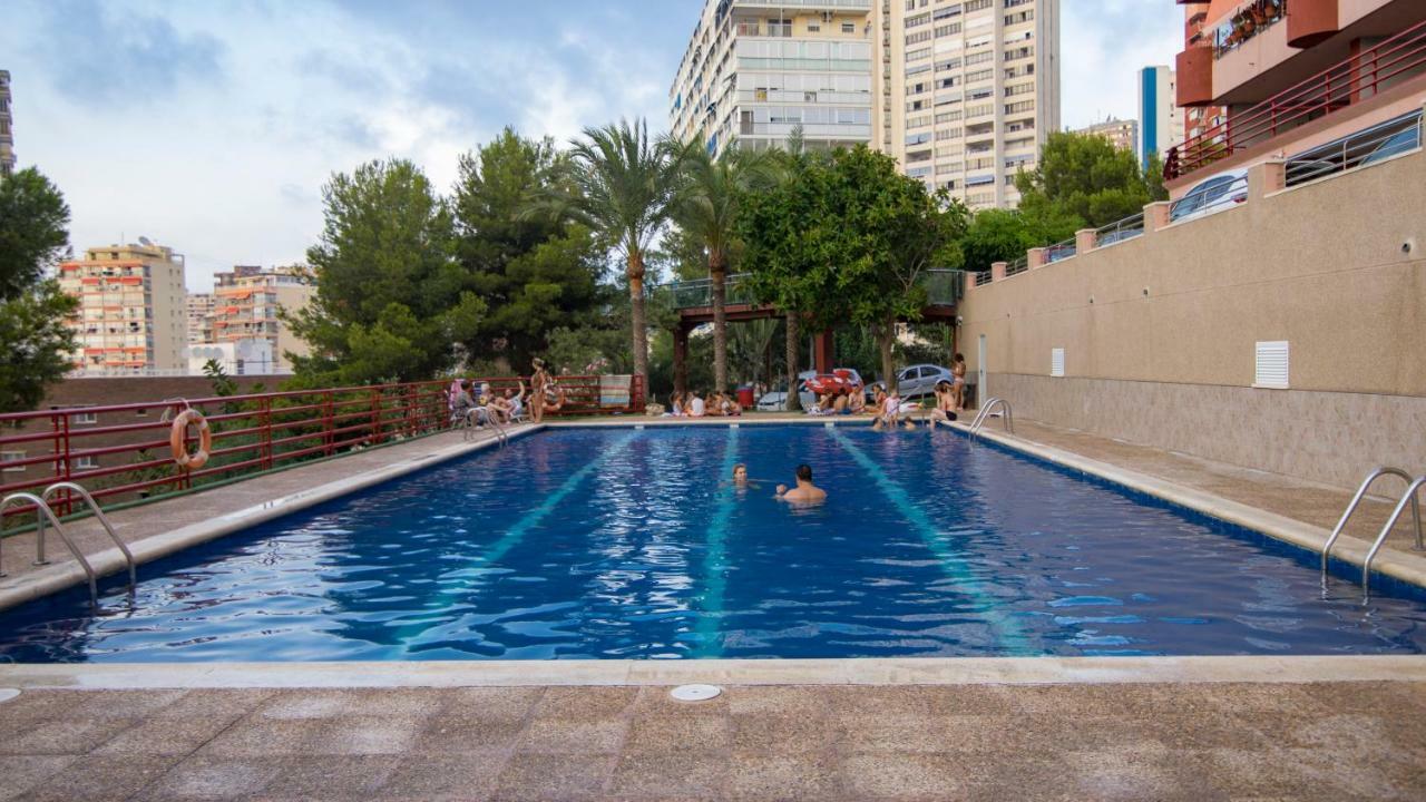 Panorámicos Don Miguel Ii Benidorm