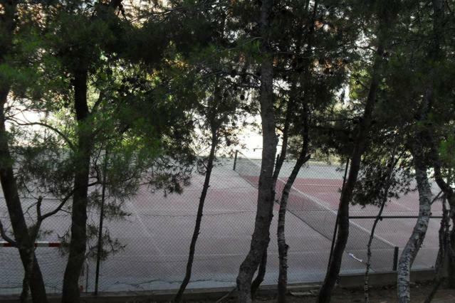 Coblanca *