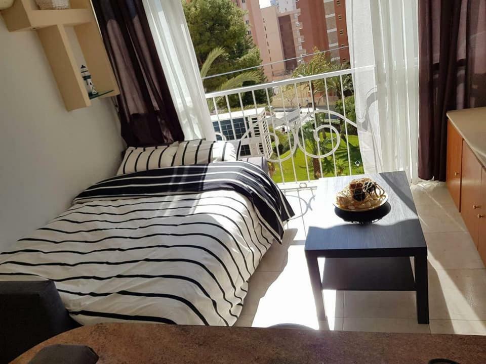 Appartement Playmon Park *
