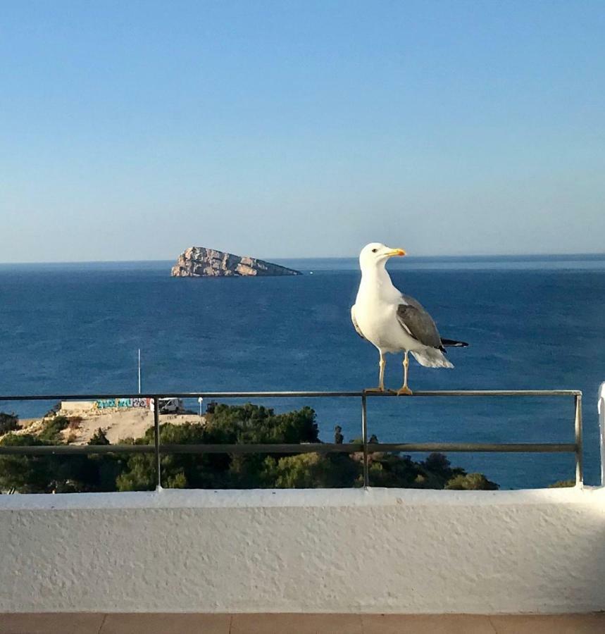 Duplex Villamarina *