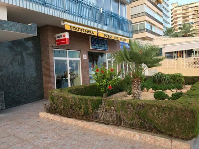 Apartamento 1ª Línea Playa Levante, Garage, Wifi, Climatización *