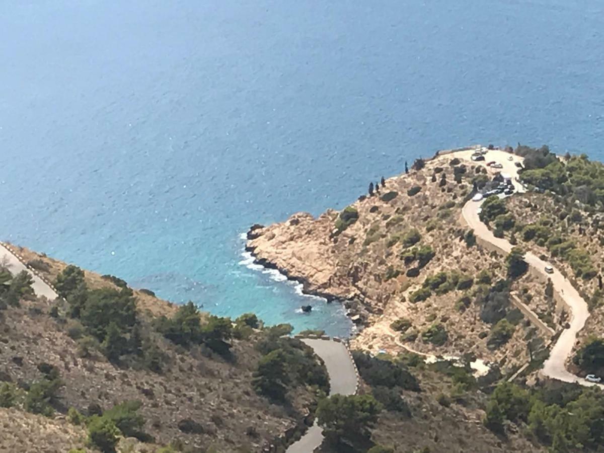 Belle Vue 1ere Lignee Marina