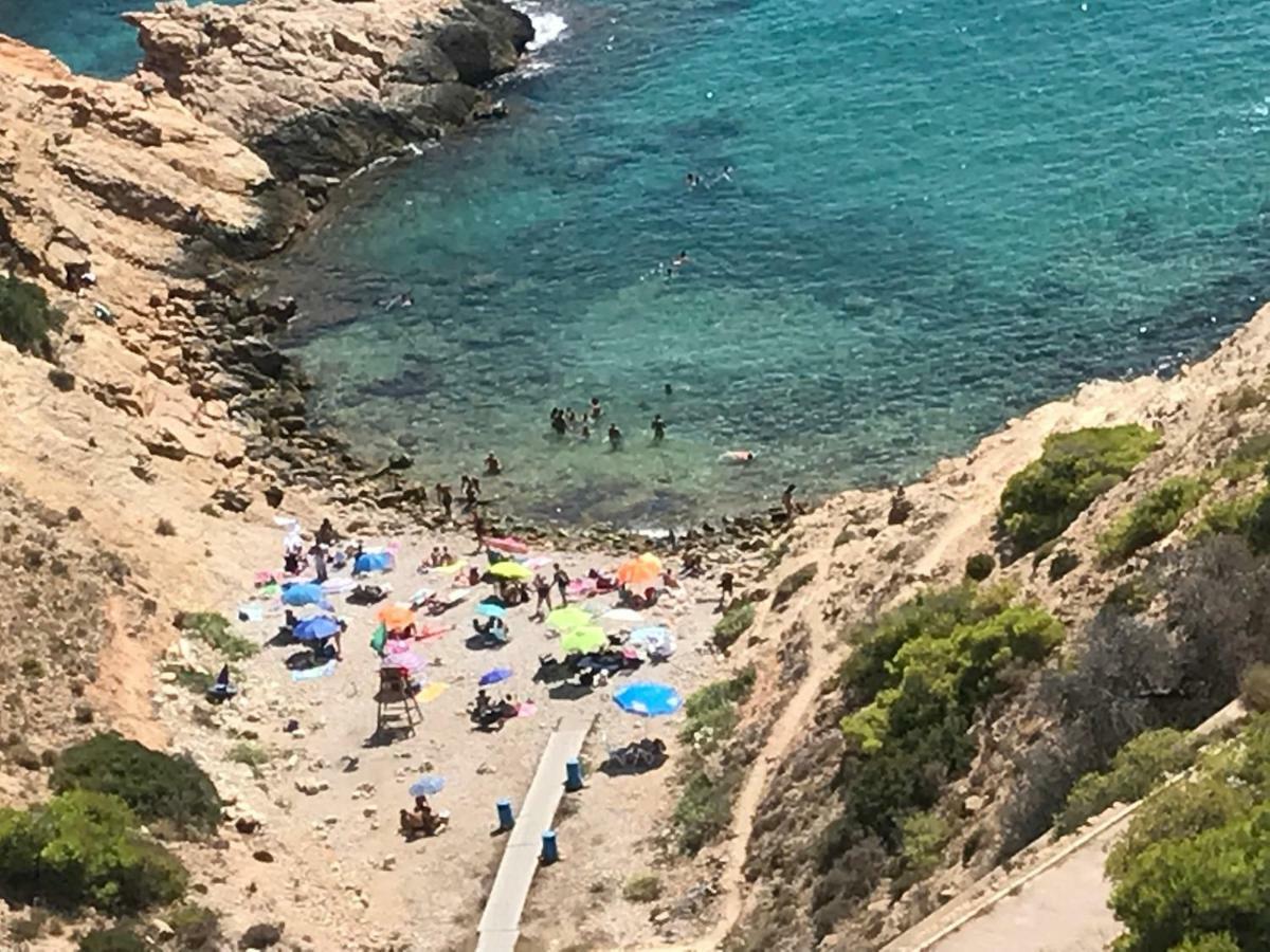 Belle Vue 1ere Lignee Marina