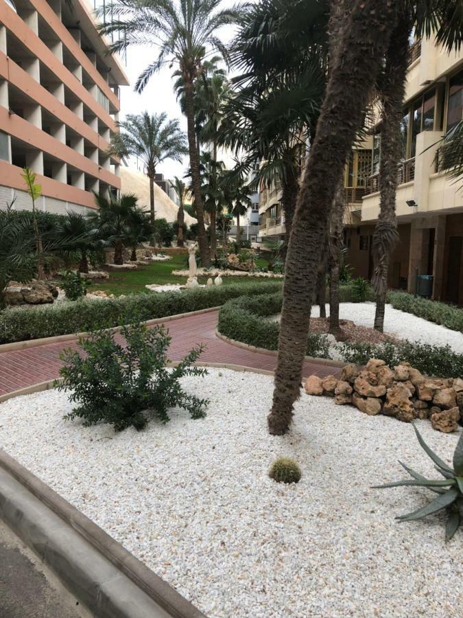 Apartment Be Luxury 20 Mts From The Benidorm