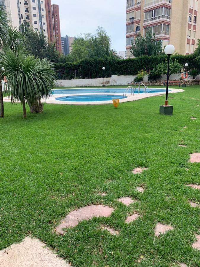 Apartment Violetas *
