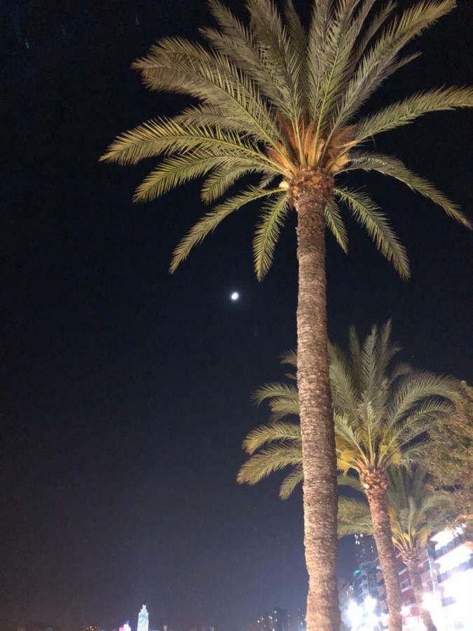 Be Luxury 20 Mts From The * Benidorm