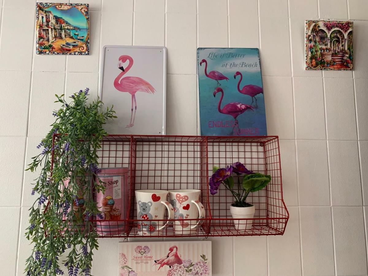 Apartment Violetas
