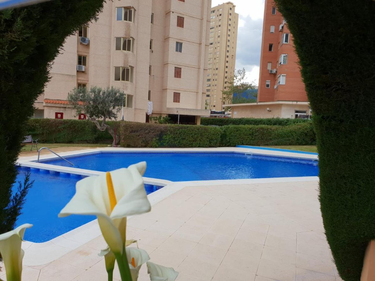 En El Cielo De - Alteanos V * Benidorm